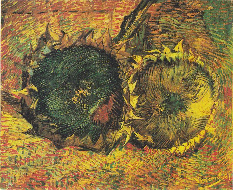 Tournesols coupés sur une table un tableau de Vincent Van Gogh