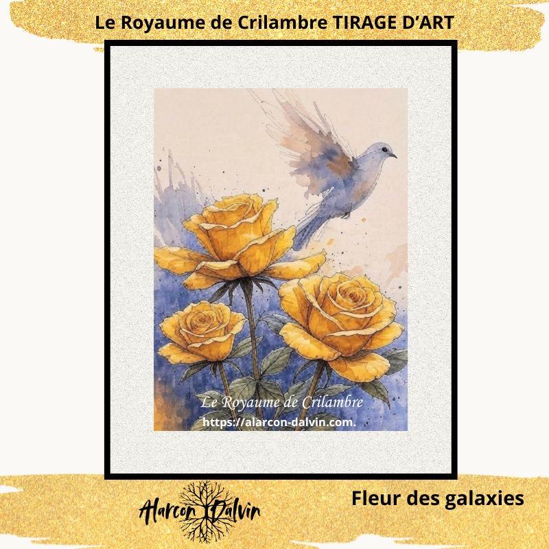 fleur-des-galaxies-fleurs-jaunes-avec-passe-partout - 16 Tableau « Fleur des Galaxies » d’Alarcon Dalvin – fleurs jaunes avec passe-partout – reproduction en édition limitée.intérieure ou collection.